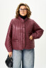   ������ 